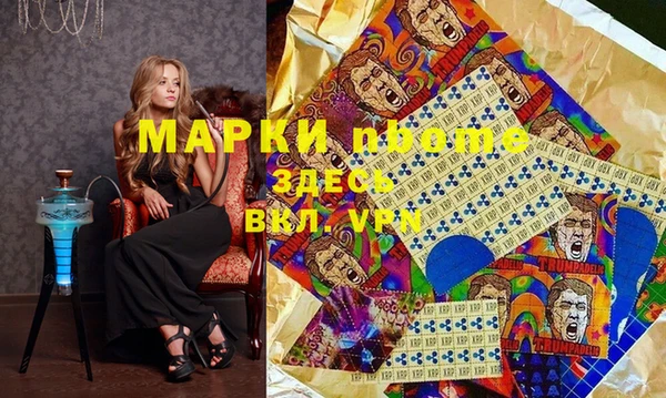 хмурый Алексин
