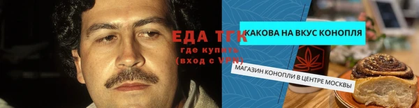 хмурый Алексин