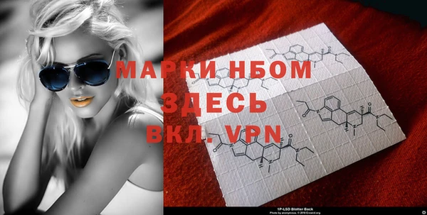 хмурый Алексин