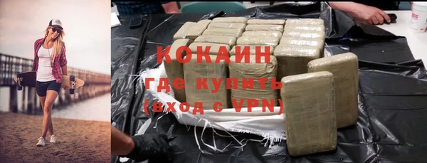 хмурый Алексин